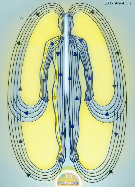 File:GZ3dline 2025-05-28.jpg