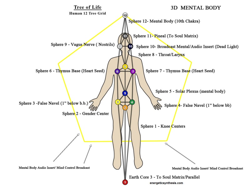 File:12TreeGrid-3DMentalBodyTF.jpg