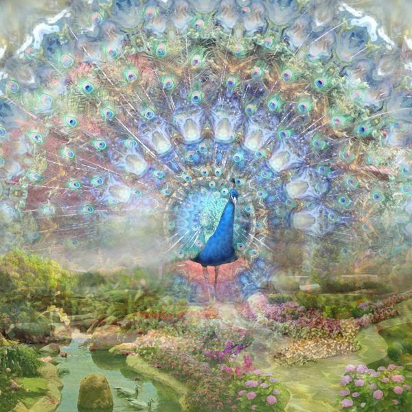 File:Peacock Guardian of Edenic Gardens.jpg