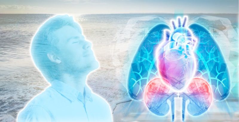 File:Being 2022-05-13.jpg