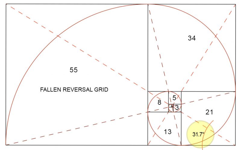 File:Fibonacci-55.jpg